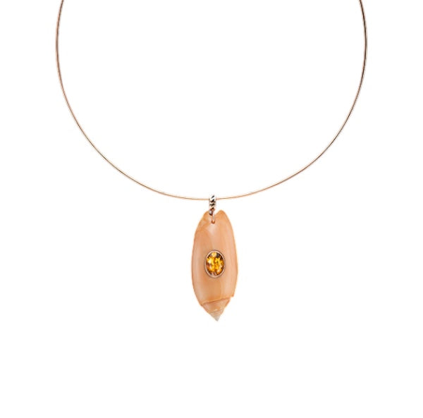 Sanaya Shell with Scappolite
